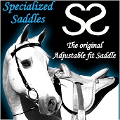 Specialized Saddles