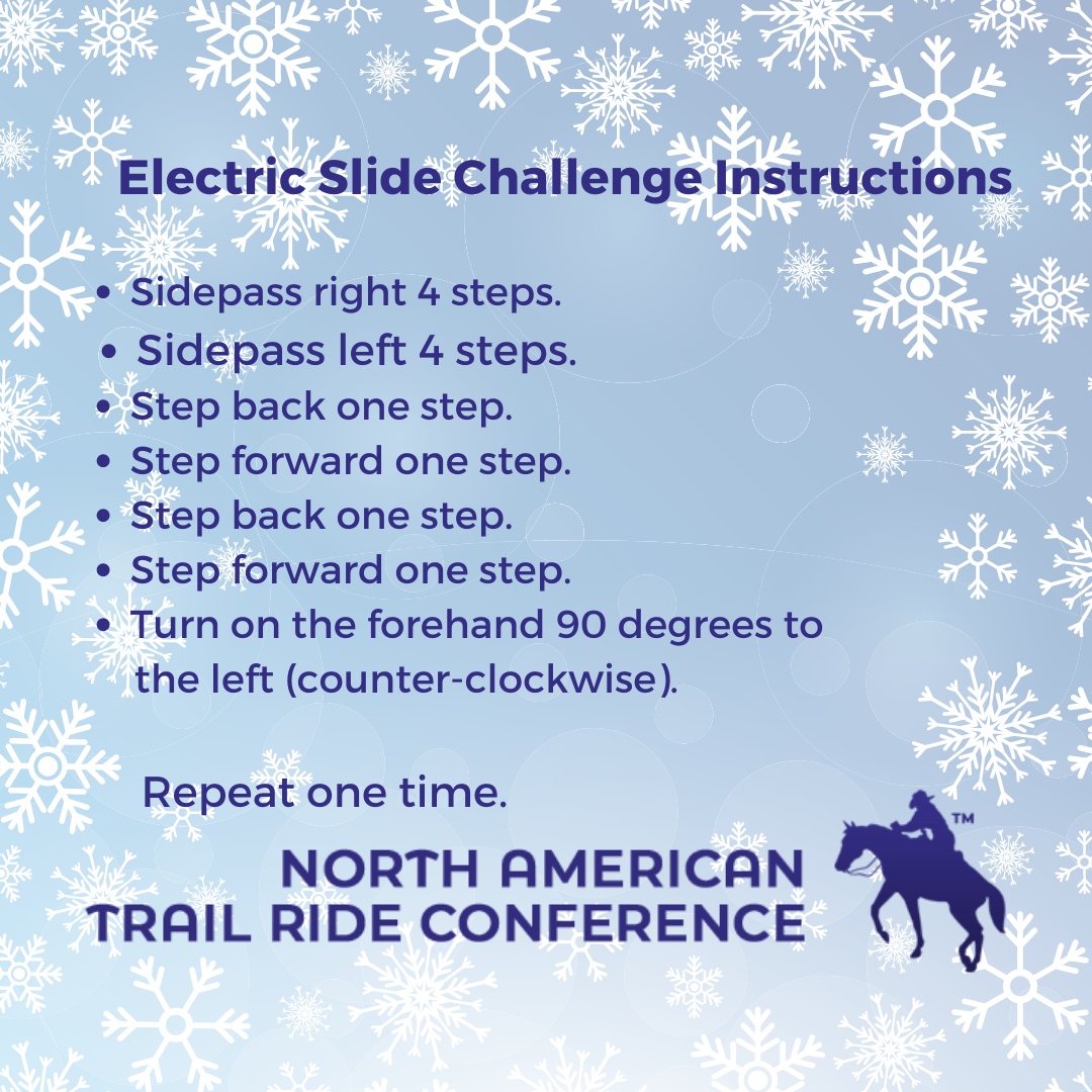 2021_Electric_Slide_Challenge