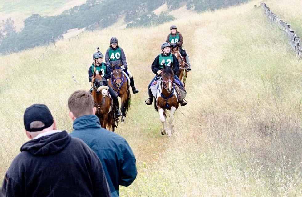 What the Judges are Looking For