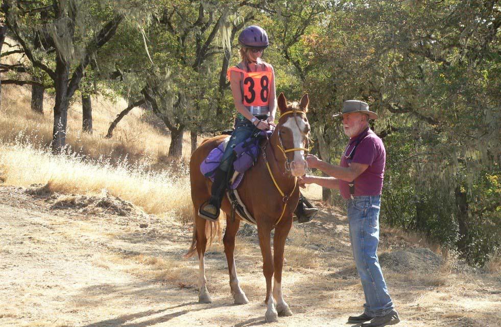 Pulse and Respiration Check