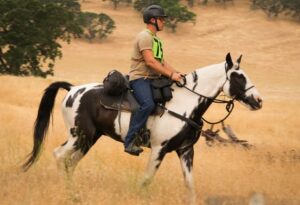 image-full-365466-96c417f75d0758c09a91854017b83eac