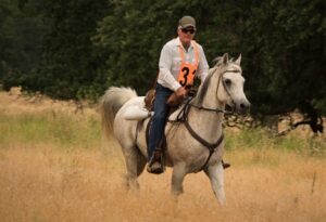 image-full-365467-14266eca85c7c31c33ea531b760ebeb3