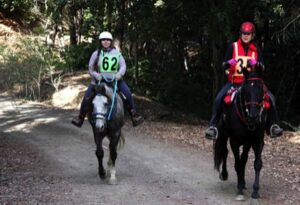 image-full-365472-c4354f891cbe76b24e9ee9c158666446