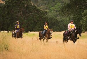 image-full-365476-8410dc53d6b6292d7857bcee1f1fff4f