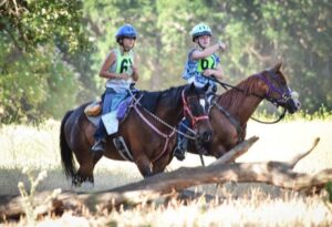 image-full-365477-691d07a491850d0114ec0c271e34e15b