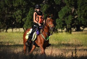 image-full-365479-b5bae83a273f2649a71616b49fafa45e