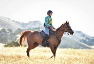 image-full-365482-444f16583b75d4a37c9d8eccf3556b64