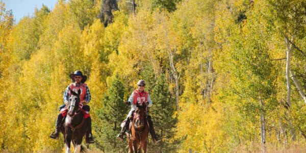 Introduction – NATRC | Competitive Trail Riding